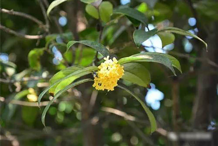 程力風(fēng)采：金秋九月，我在程力等您